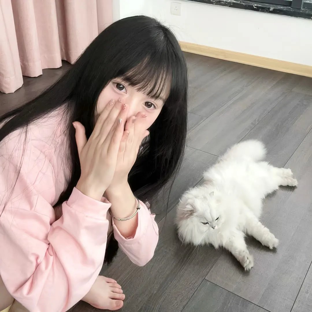 哈莉·奎茵第二季